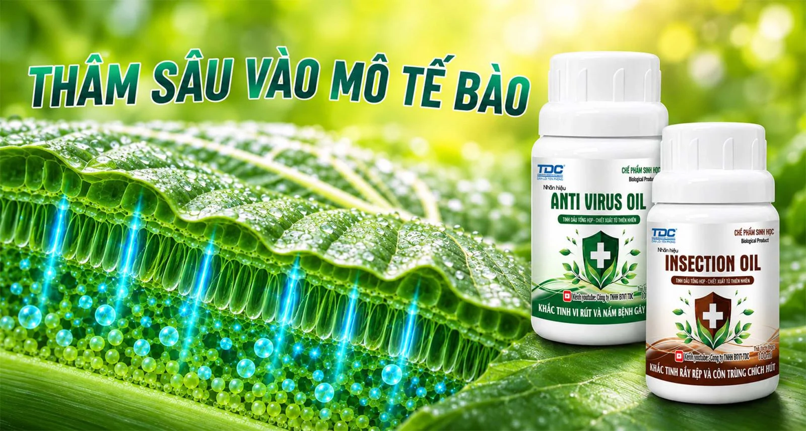 Giải pháp sinh học TDC: Anti Virus Oil và Insection Oil