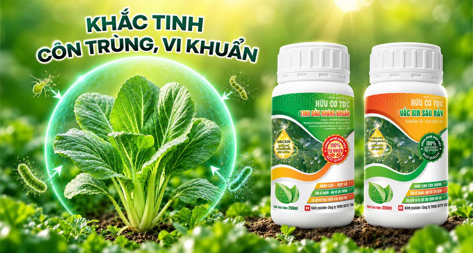 sản phẩm vắc xin sâu rầy và tinh dầu kháng khuẩn