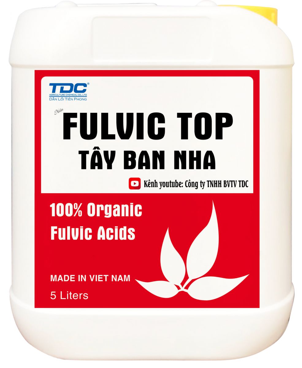 FULVIC TOP