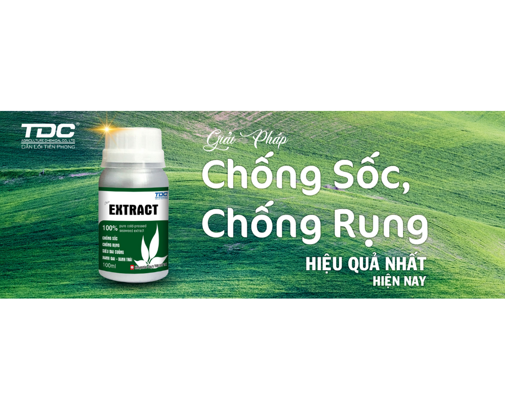 Extract chống sốc, chống rụng, xanh gai, dai cuống