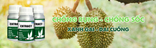 EXTRACT - CHỐNG RỤNG