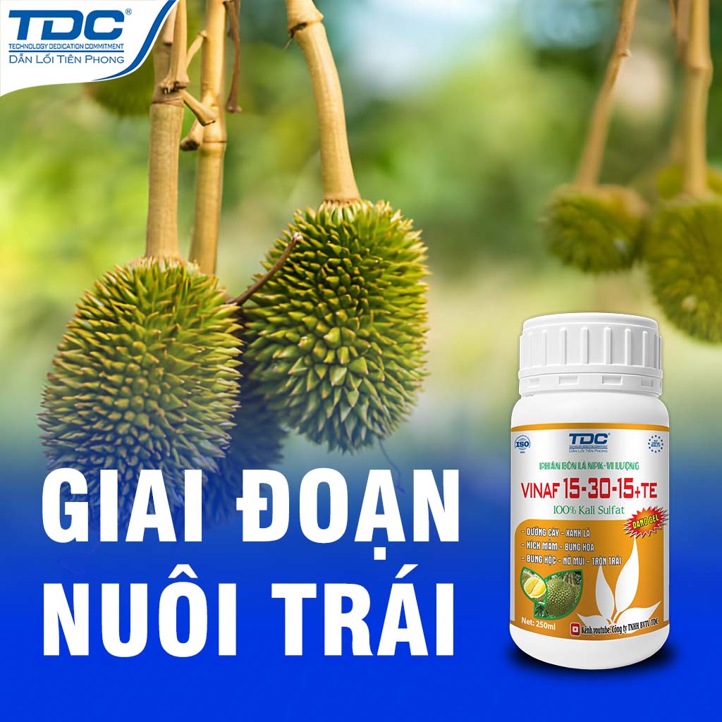 SẢN PHẨM NPK 15-30-15