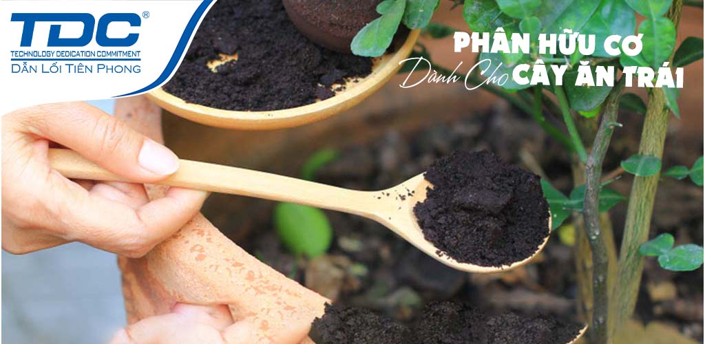 PHÂN HỮU CƠ DÀNH CHO CÂY ĂN TRÁI