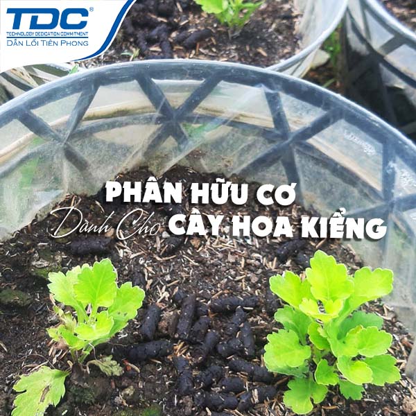 PHÂN BÓN HỮU CƠ DÀNH CHO HOA KIỂNG