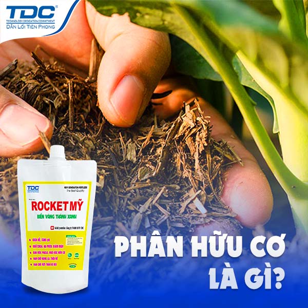 PHÂN HỮU CƠ LÀ GÌ