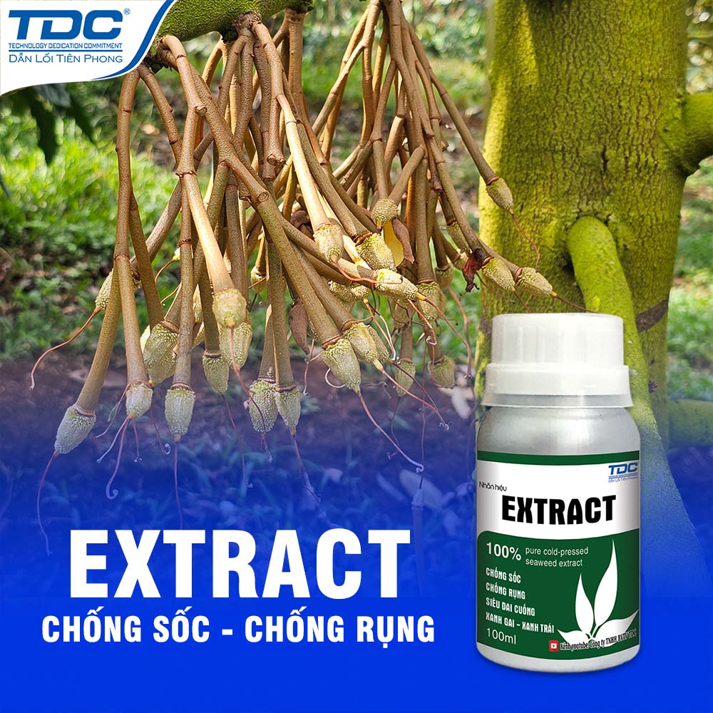 SẢN PHẨM EXTRACT