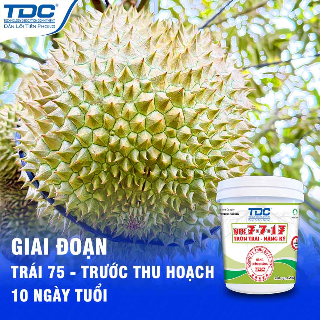 SẢN PHẨM NPK 7 7 17 TRÒN TRÁI