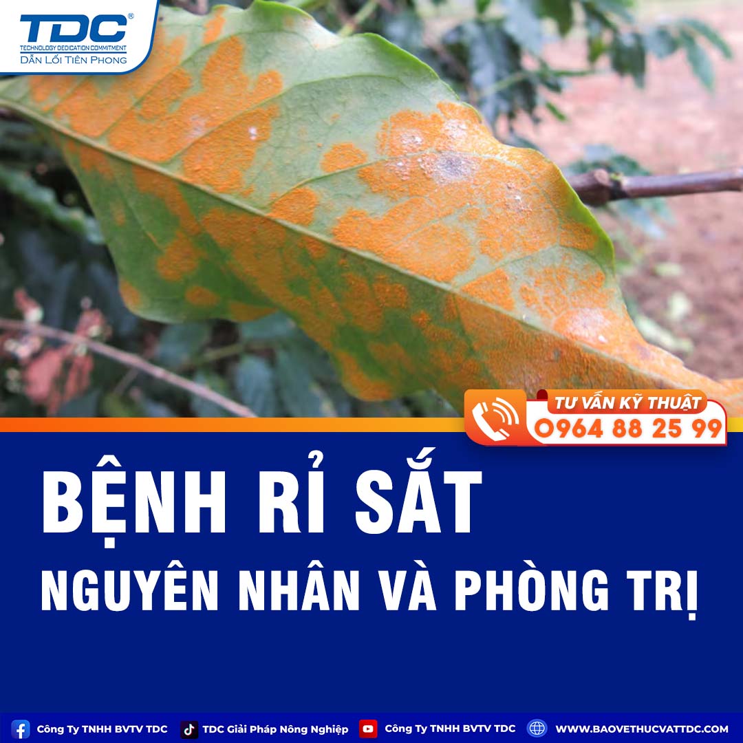 bệnh rỉ sắt