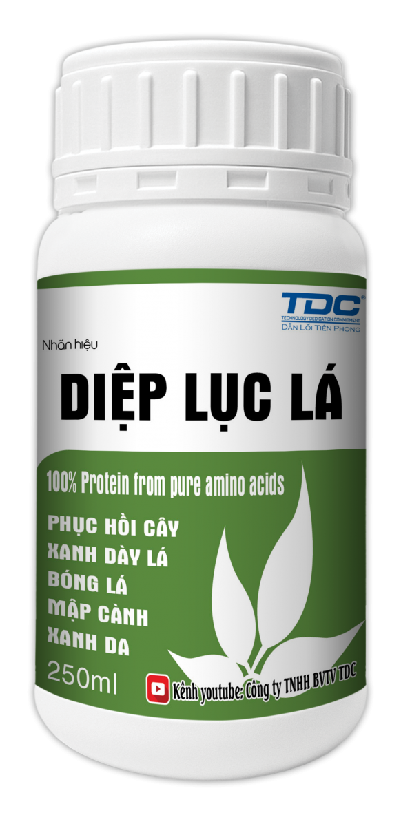 SẢN PHẨM DIỆP LỤC LÁ TDC