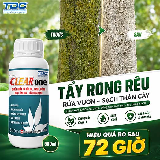 Clear One, tẩy ỏng rêu nấm hồng tảo đỏ