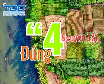 nguyên tắt 4 đúng trong bón phân npk tdc