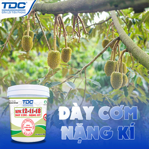 npk 12 11 18 giai đoạn nuôi trái non