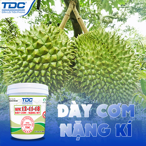 npk 12 11 18 sử dụng trong giai đoạn nuôi trái