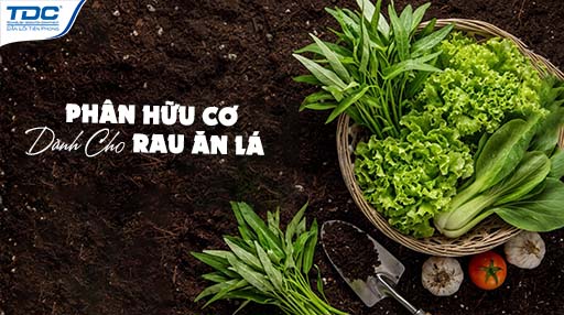 phân bón lá dành cho rau ăn lá