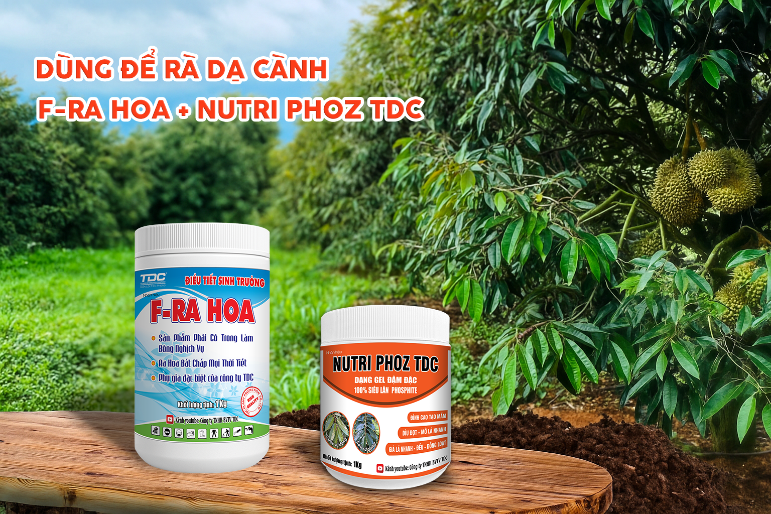 rà dạ cành