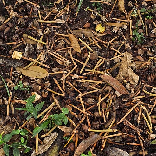 Bộ giải pháp chặn đọt, chống rụng chuyên biệt từ Công ty TNHH BVTV TDC