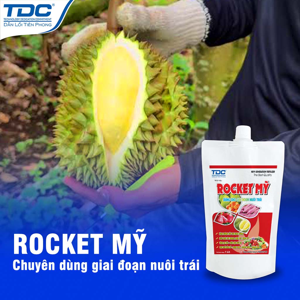 rocket mỹ chuyên nuôi trái sầu riêng