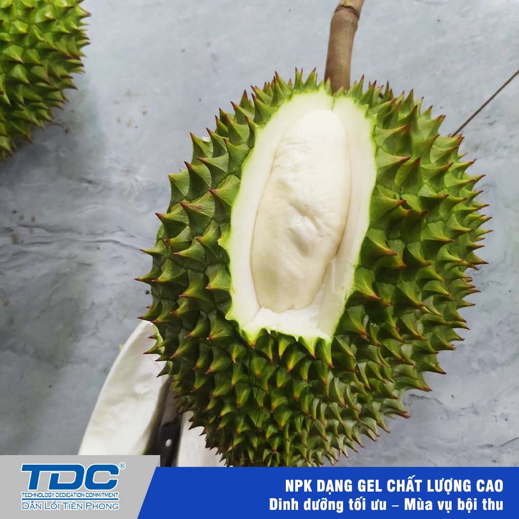 sầu không lên cơm