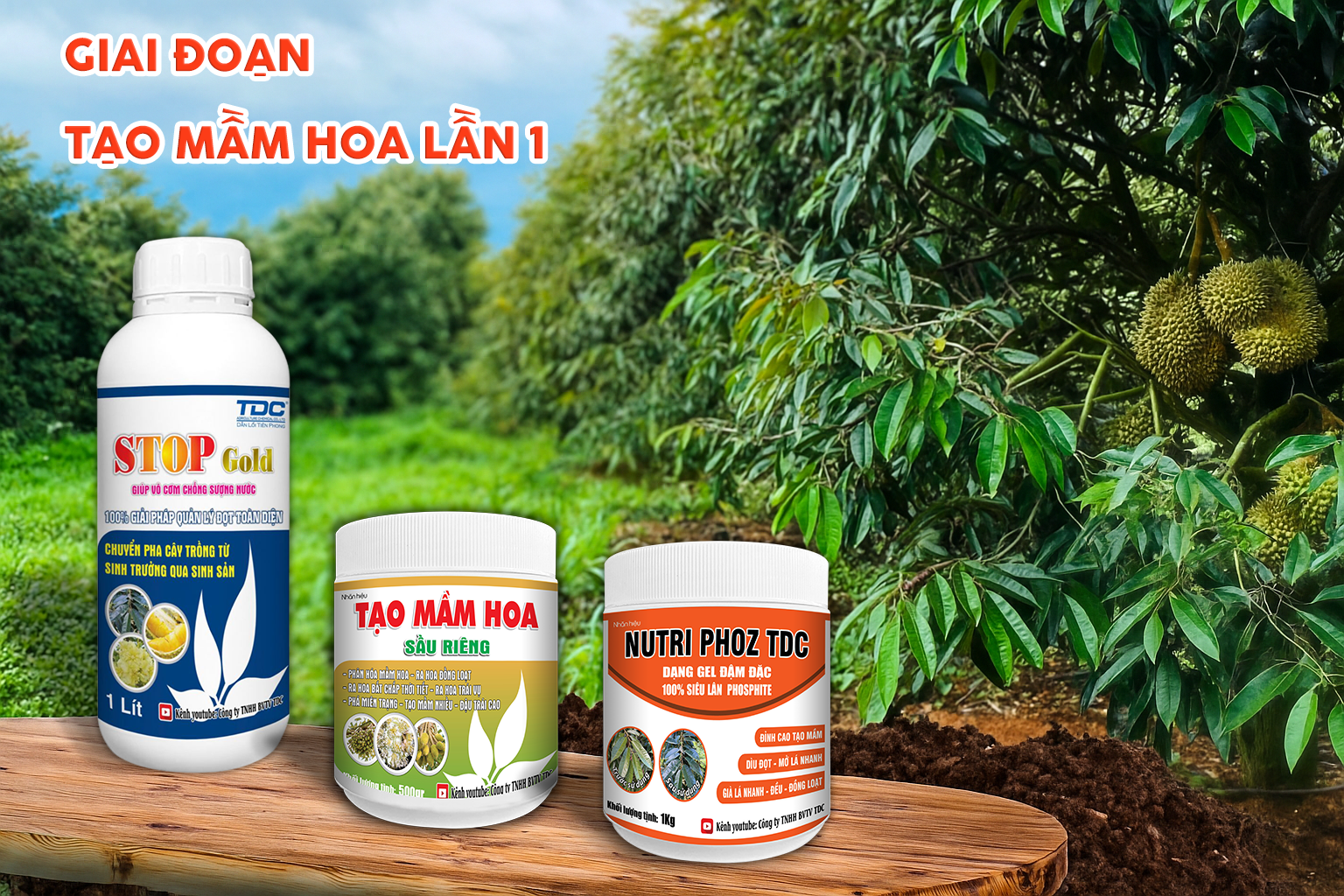 bộ giải pháp tạo mầm hoa lần 1