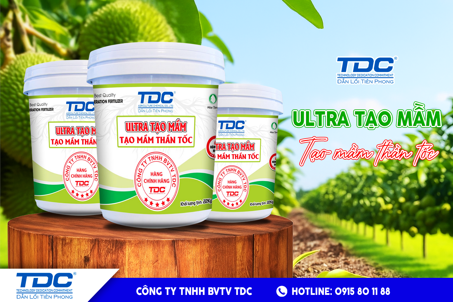 ultra tạo mầm sầu riêng